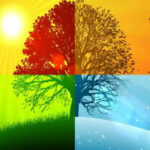 6540afd9d9ba26540afd9d9ba316987381376540afd9d9ba06540afd9d9ba1