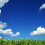 Bb6710ce 5dea 3cc5 94f6 a857d07f7df4