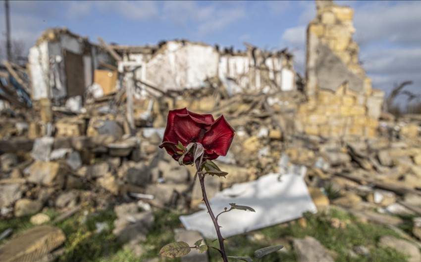 Bfadbe2e 7461 3e64 a085 47d2b894f287