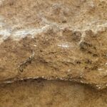 F2f20e05 b197 38aa 931c 4baf76f67940