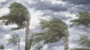 Images 2023 10 18T160427.189