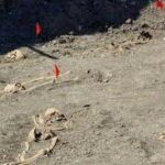 Indir 2023 10 17T114656.929