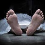 Indir 2023 10 26T164601.625