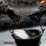 Indir 2023 10 31T085647.061