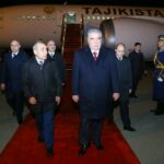 2d1e8ffc 3187 3e27 8e94 fb6d6b09e65a