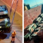 755ccfec 6791 3ed0 bce5 4c078a4fb903