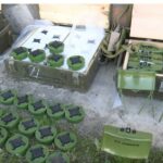 81800d92 b403 376c b98e 8fb92f269552