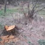 Ffead3b9 dec9 4a7d bcf1 2a09eee14048