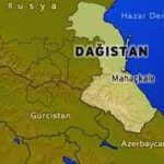 Indir 2023 11 10T093432.018