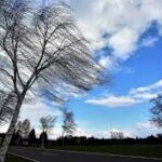 Indir 2023 11 10T113535.319