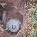 Indir 2023 11 13T120006.046