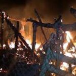 Indir 2023 11 18T113339.634