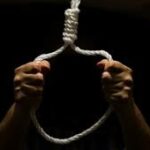 Indir 2023 11 29T095229.352