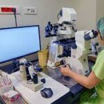 Indir 2023 11 30T091329.779