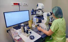 Indir 2023 11 30T091329.779