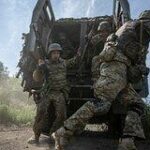 Owl detail 240 40af9edc7c6c3dec7dcbcc2f7bcbd07c