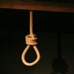 3db92fd0 cd2d 365e a465 c37e4c730133