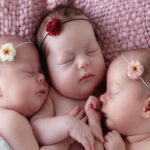 657c1b6992a4f657c1b6992a501702632297657c1b6992a4d657c1b6992a4e