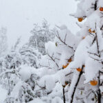 6584055b73aea6584055b73aeb17031509396584055b73ae86584055b73ae9