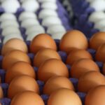 98be232a f81c 3e68 a51c 0ec8e1773437