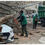 9a4ba95b 07ae 3110 b951 02db23a5e037