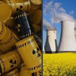 Images 2023 12 12T091941.805