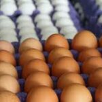 Images 2023 12 18T090517.528