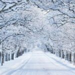 3d14ae6b 57ce 3482 ac8f e8615fcf1fe4