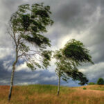 65a671107e39965a671107e39a17054067362f3234b8bc5a0c6b04907e19df6fe2c5