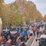 65b8d04fe70c965b8d04fe70ca170661076765b8d04fe70c765b8d04fe70c8