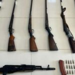 9ef8cd89 d6d6 39f1 b382 c109b1d50c16