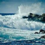 Indir 2024 01 21T225908.553