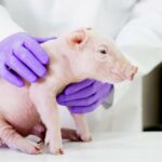 A8cf73f9 1cc7 3b6c 884e 7afdc695c859