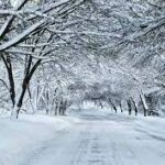 Indir 2024 02 17T123557.095