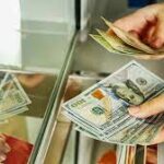 Indir 2024 02 27T155056.487