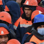 3612b8f1 69b4 323d ad97 54e9c217e65f