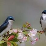 Images 2024 03 18T112643.196