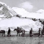 6612d3b30fbb76612d3b30fbb817125098756612d3b30fbb56612d3b30fbb6