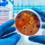 C43c6d42 d42d 32e1 be3f 8cbbcfc055fe