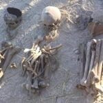 Indir 2024 04 30T151344.834