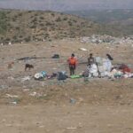 Photo 5274255363618756671 y