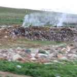 Photo 5294108819879746081 y