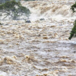 6666c4f47f2306666c4f47f23117180111246666c4f47f22e6666c4f47f22f