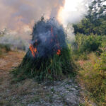 667a55b5bdcfe667a55b5bdcff1719293365667a55b5bdcfc667a55b5bdcfd