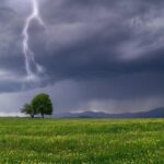 Bd082f24 3369 3a25 91a7 3c904611e2f4