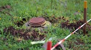 Images 2024 06 24T143740.674