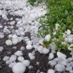 Indir 2024 06 27T082635.023