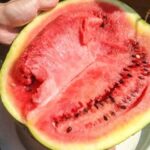 2d67a8a0a459ee040d609d34bd657cc6