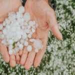 66a11d51075f566a11d51075f6172183483366a11d51075f366a11d51075f4