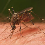 66a908932e7f266a908932e7f3172235381166a908932e7f066a908932e7f1